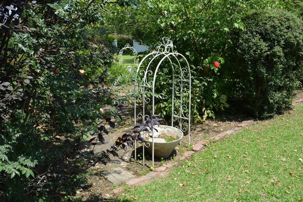 Toad Hall Guest House Wakkerstroom Экстерьер фото